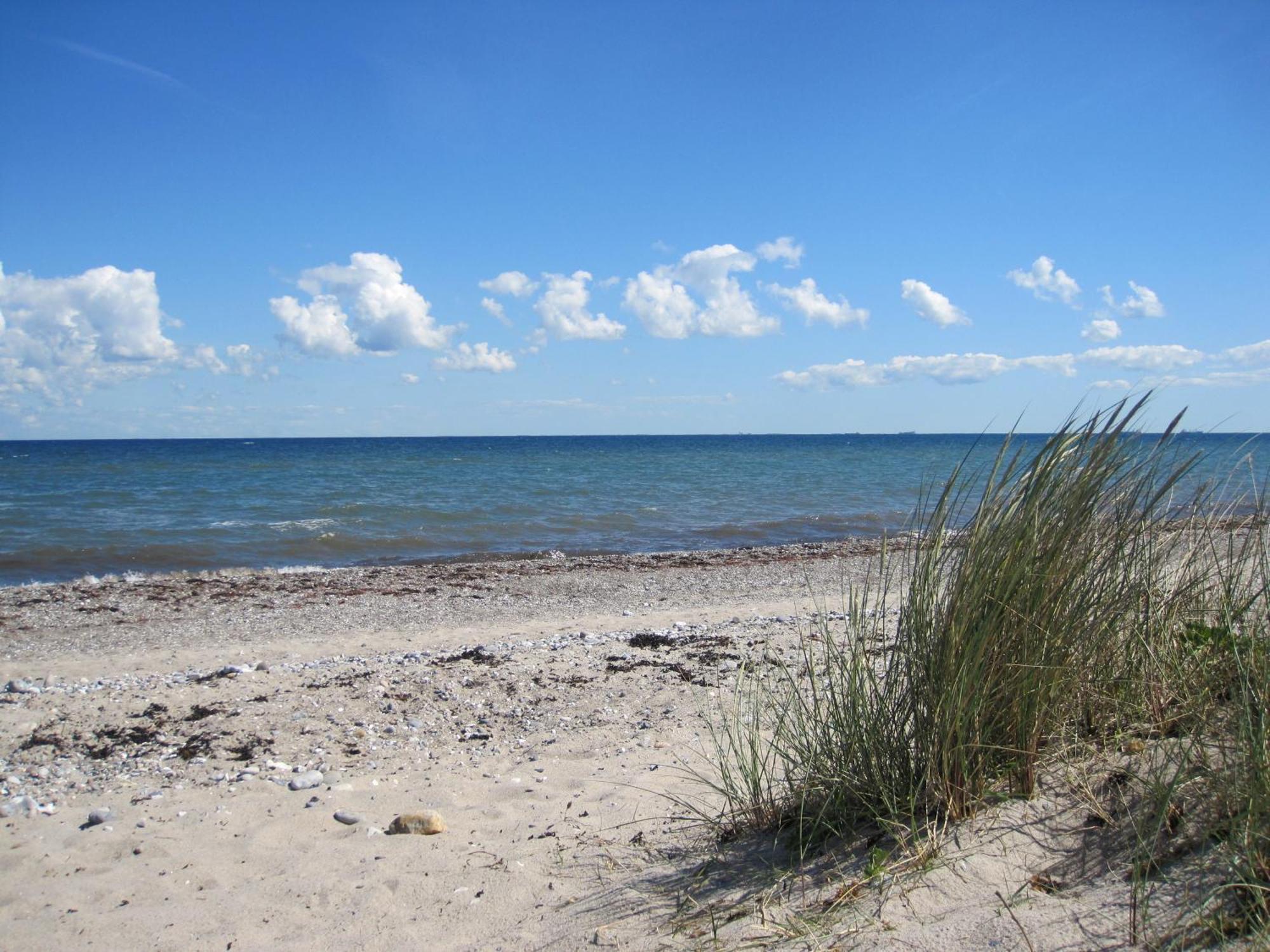 Fewo Im Kastania Nr19 Petersdorf auf Fehmarn Luaran gambar